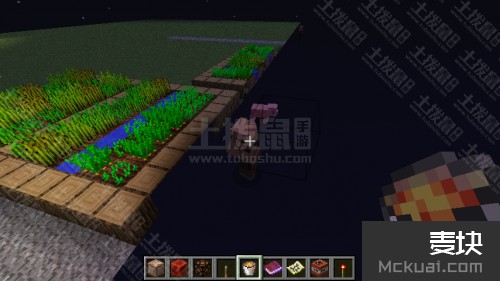 我的世界时间停止怎么做时停法介绍
