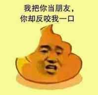 飞行系的皮卡丘